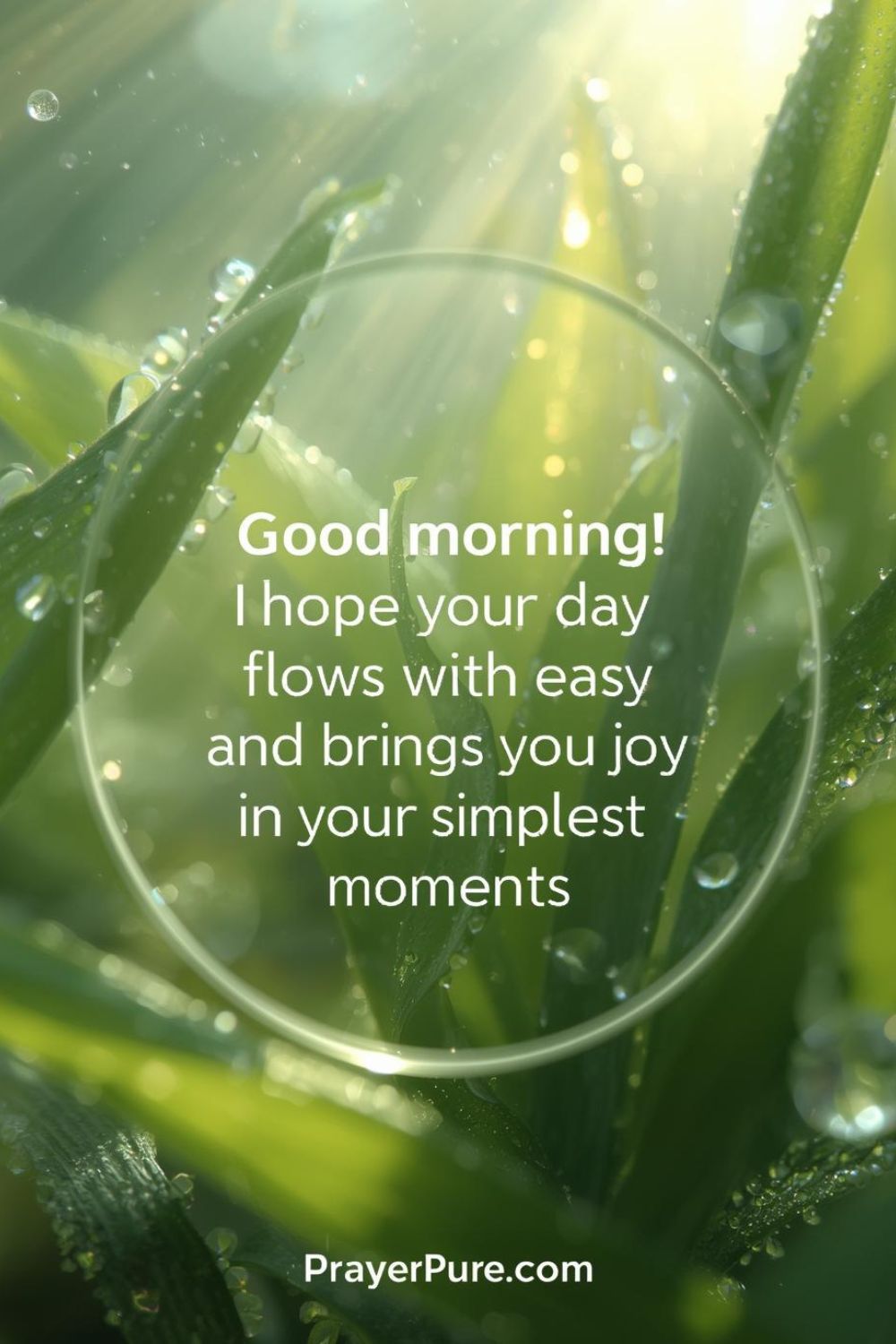 Good Morning Messages