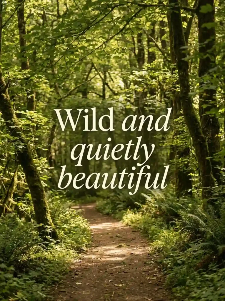 Nature Aesthetic Captions