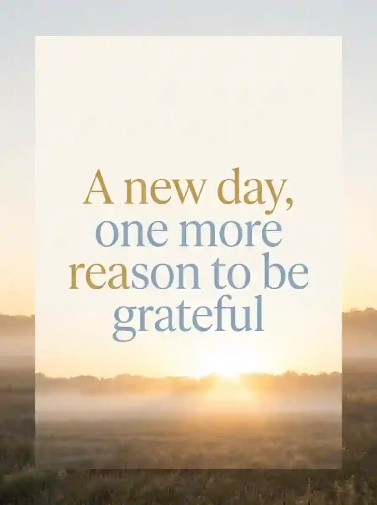 Things to Be Grateful For