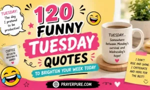 120 Funny Tuesday Quotes to Brighten Your Week Today