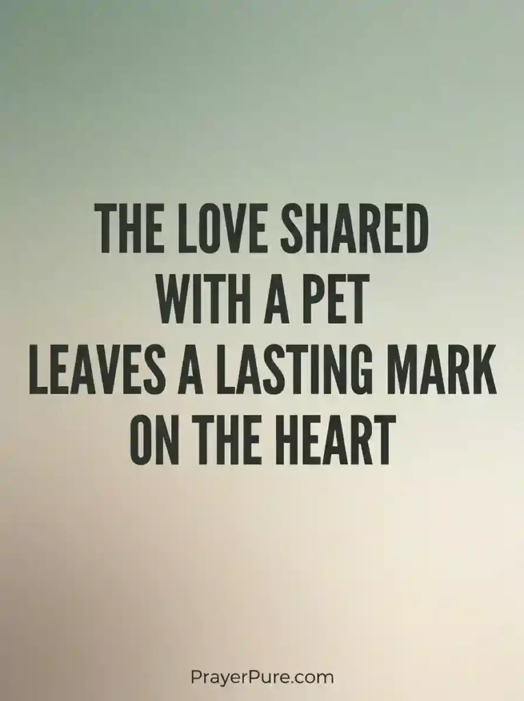Condolence Messages for Loss of a Pet