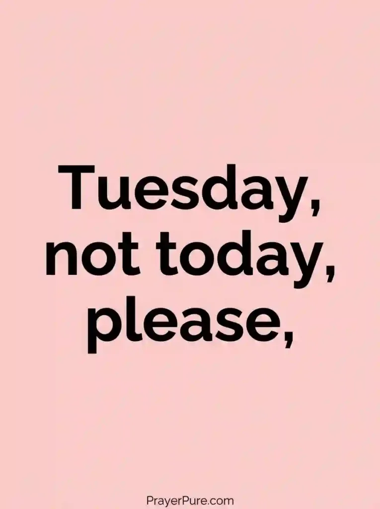 Funny Tuesday One-Liners