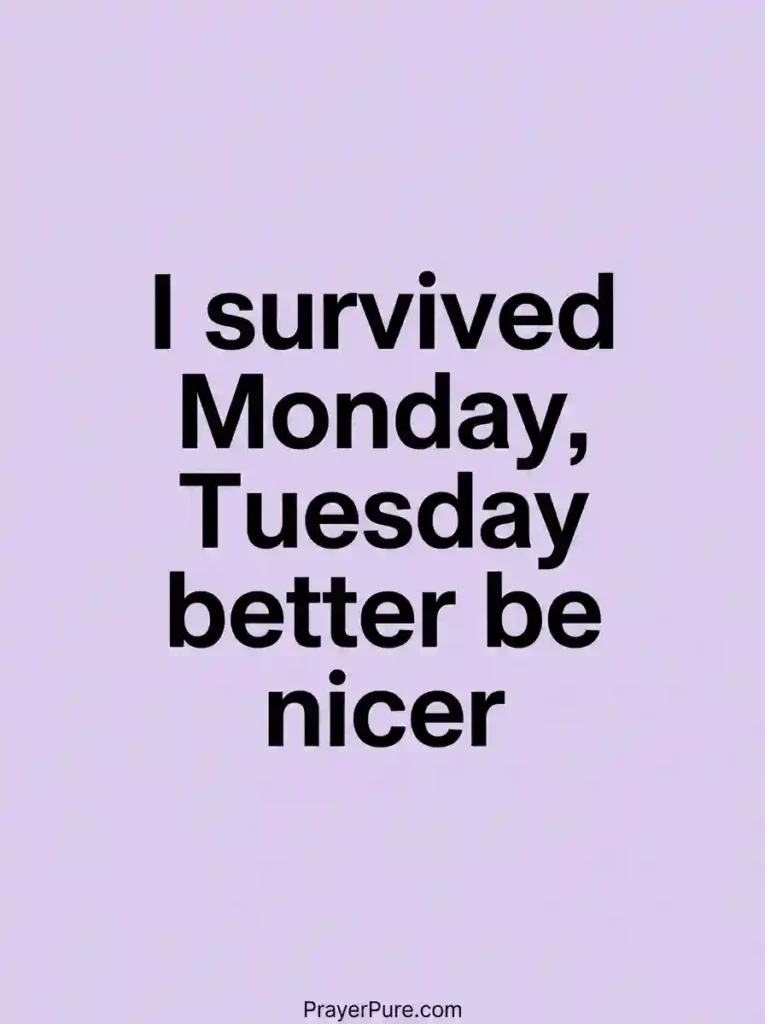 Funny Tuesday Quotes About Almost Surviving Monday