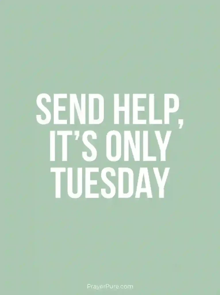 Funny Tuesday Quotes for the Group Chat
