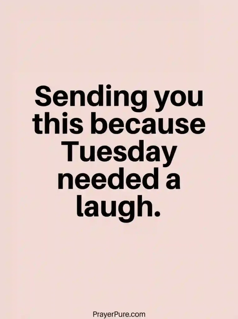 Funny Tuesday Quotes to Share with a Friend