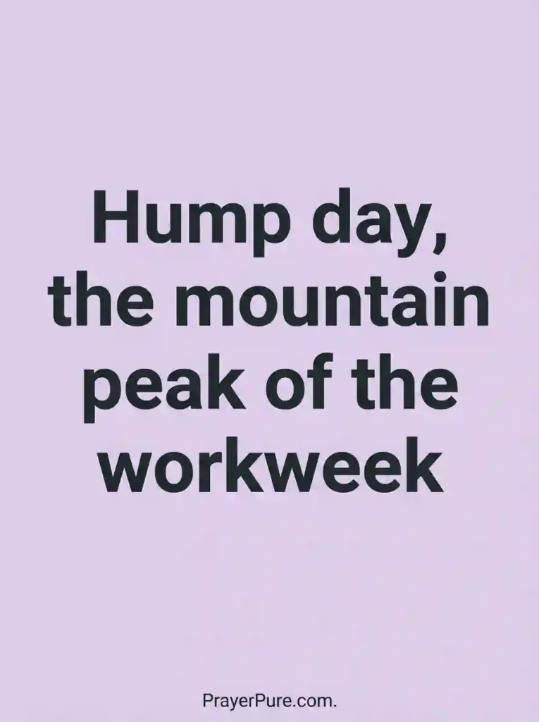 Funny Wednesday Hump Day Quotes