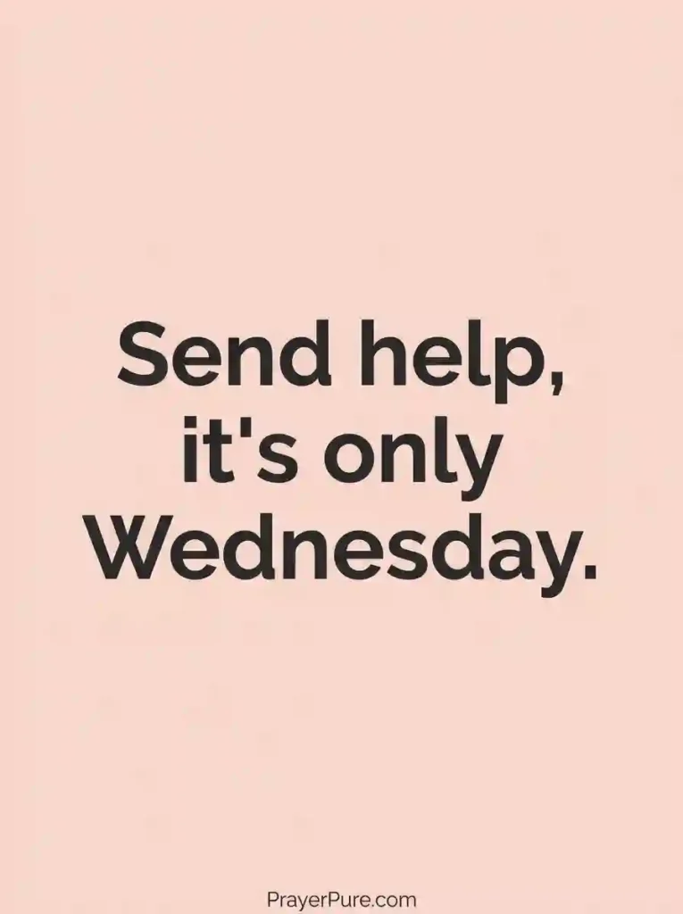 Funny Wednesday Quotes for the Group Chat