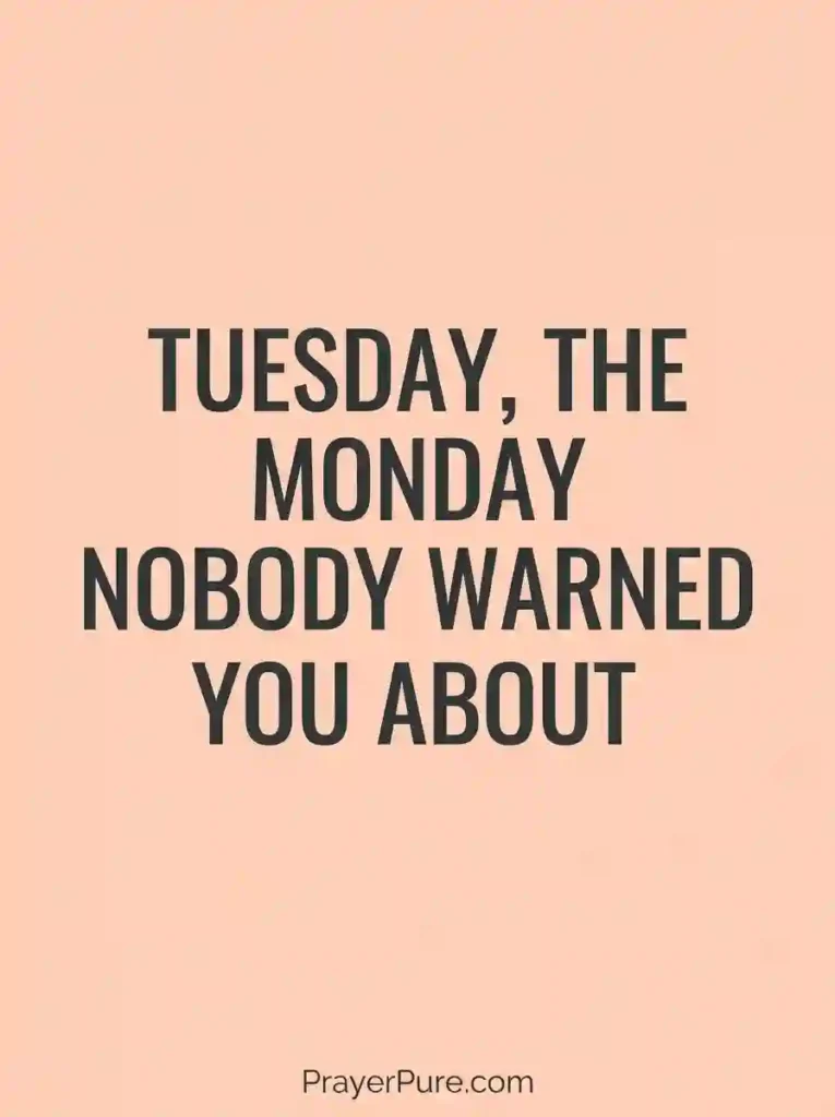 Short Funny Tuesday Quotes