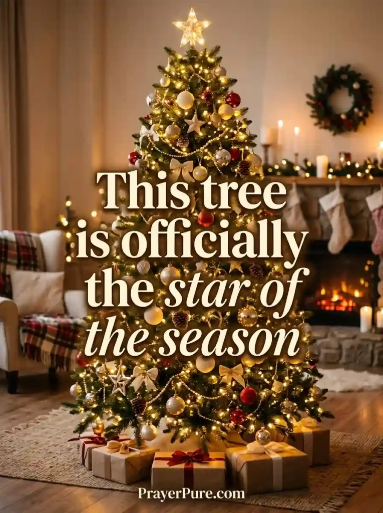 Christmas Captions About the Tree and Decorations