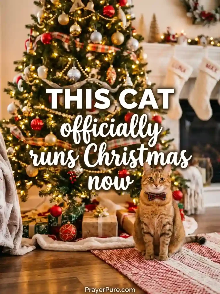 Christmas Cat Captions for Festive Photos