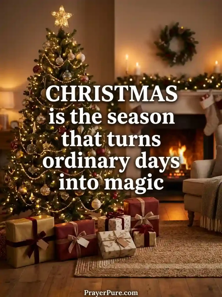 Christmas Quotes for Holiday Fans
