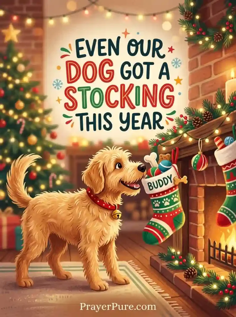 Christmas Stocking Captions About Pets