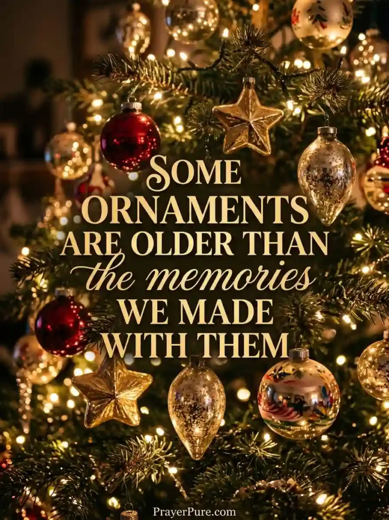 Christmas Tree Captions About Lights and Ornaments