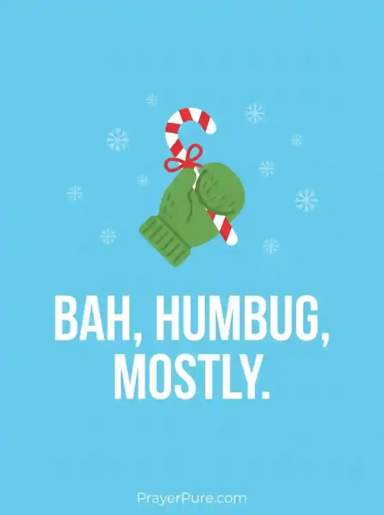 Funny Grinch Mood Captions
