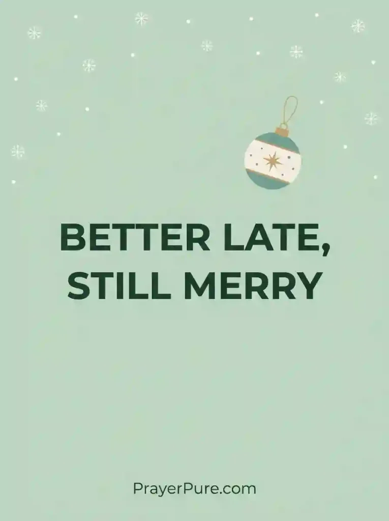 Funny Late Christmas Captions