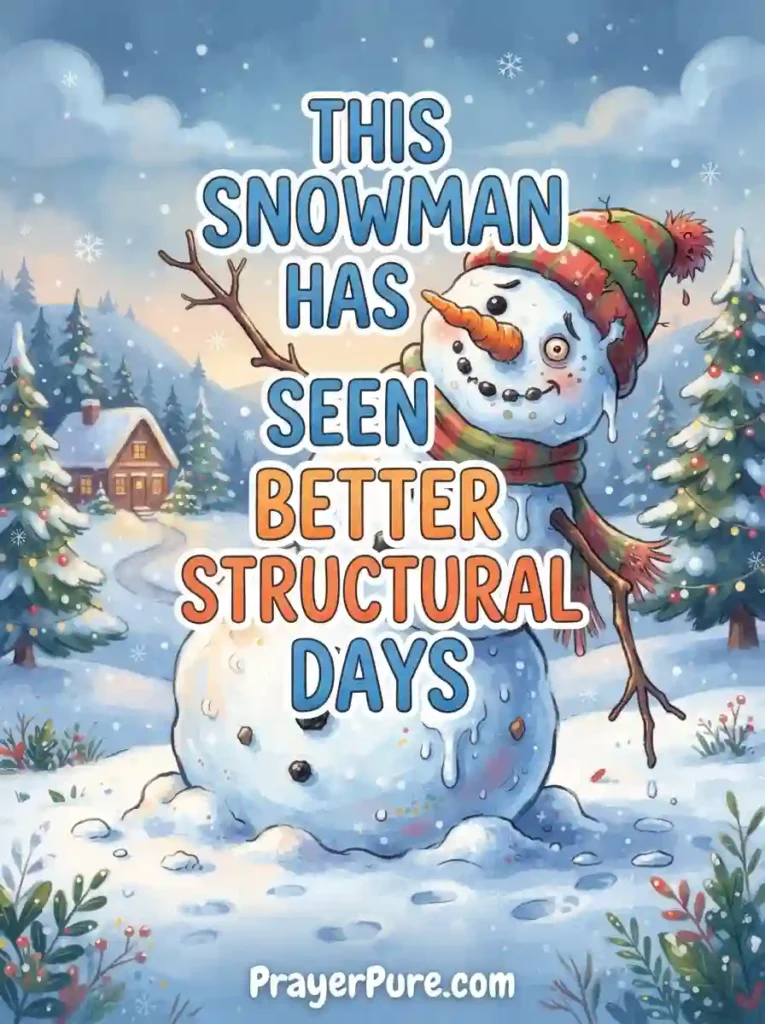 Funny Snowman Captions