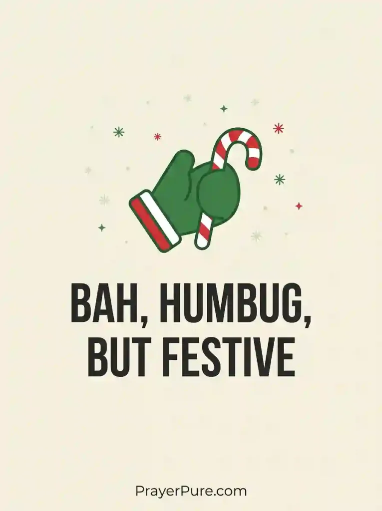 Grinch Mood Captions for a Fun Christmas Vibe