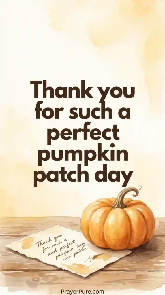 Short Thank You Card Messages