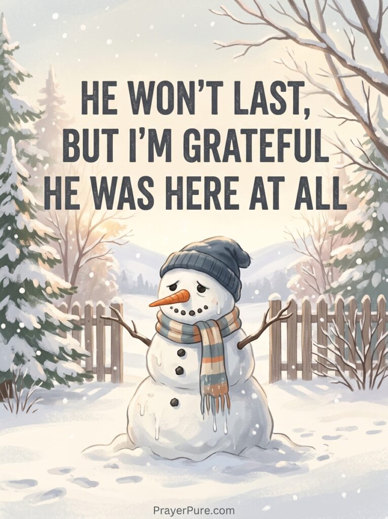 Snowman Captions About Melting and Letting Go