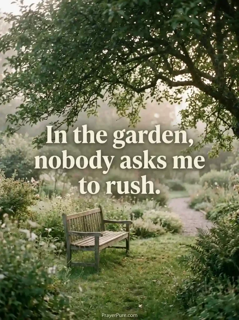 Garden Captions About Peace and Mindfulness