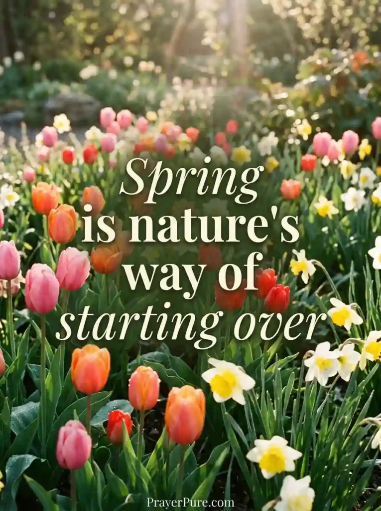 Spring and Garden Flower Captions